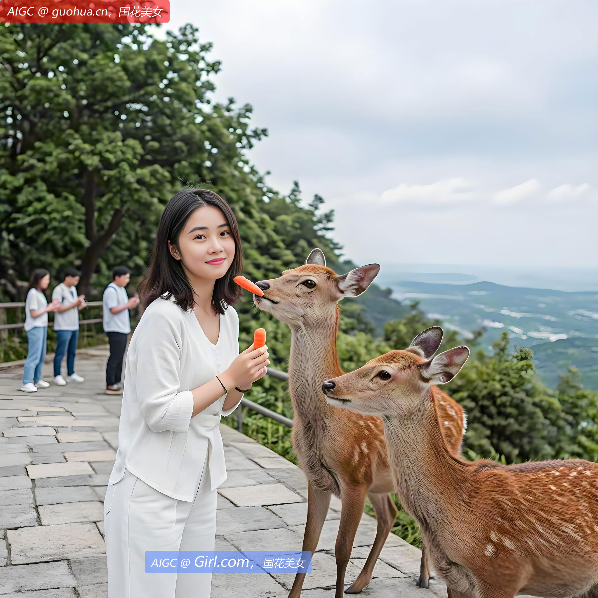 两只梅花鹿在辽宁大连市白云山山体公园和市民互动