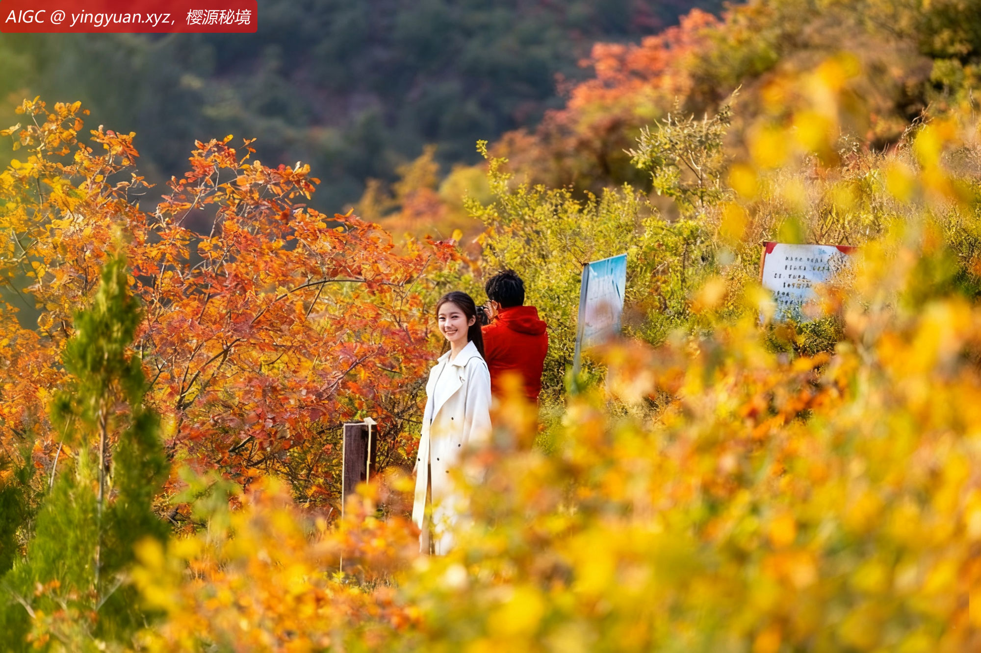 yy20251026.jpg yy20251026.jpg