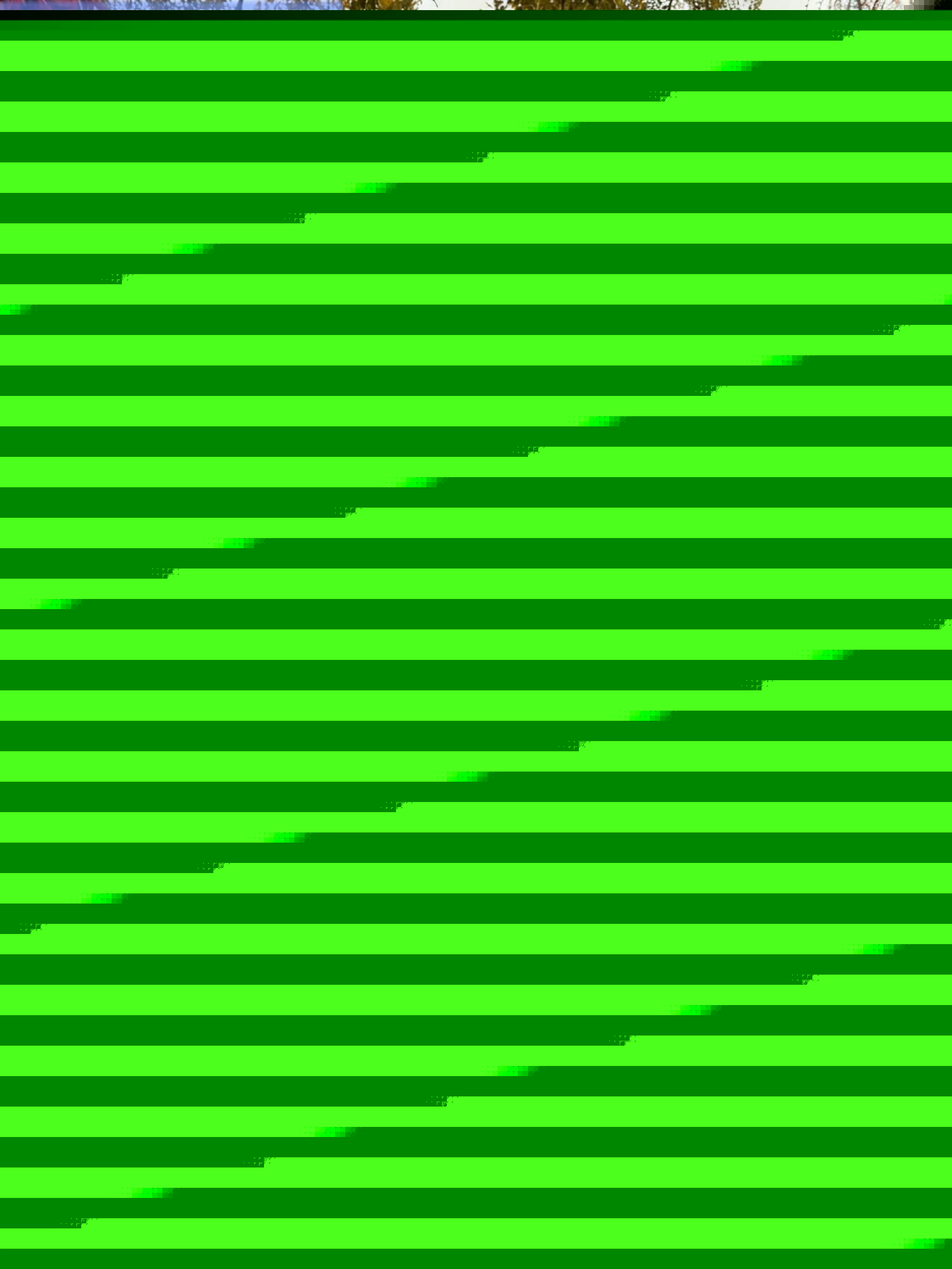 禅寺不语，却以一秋风雨、满地金黄，道尽万法自然