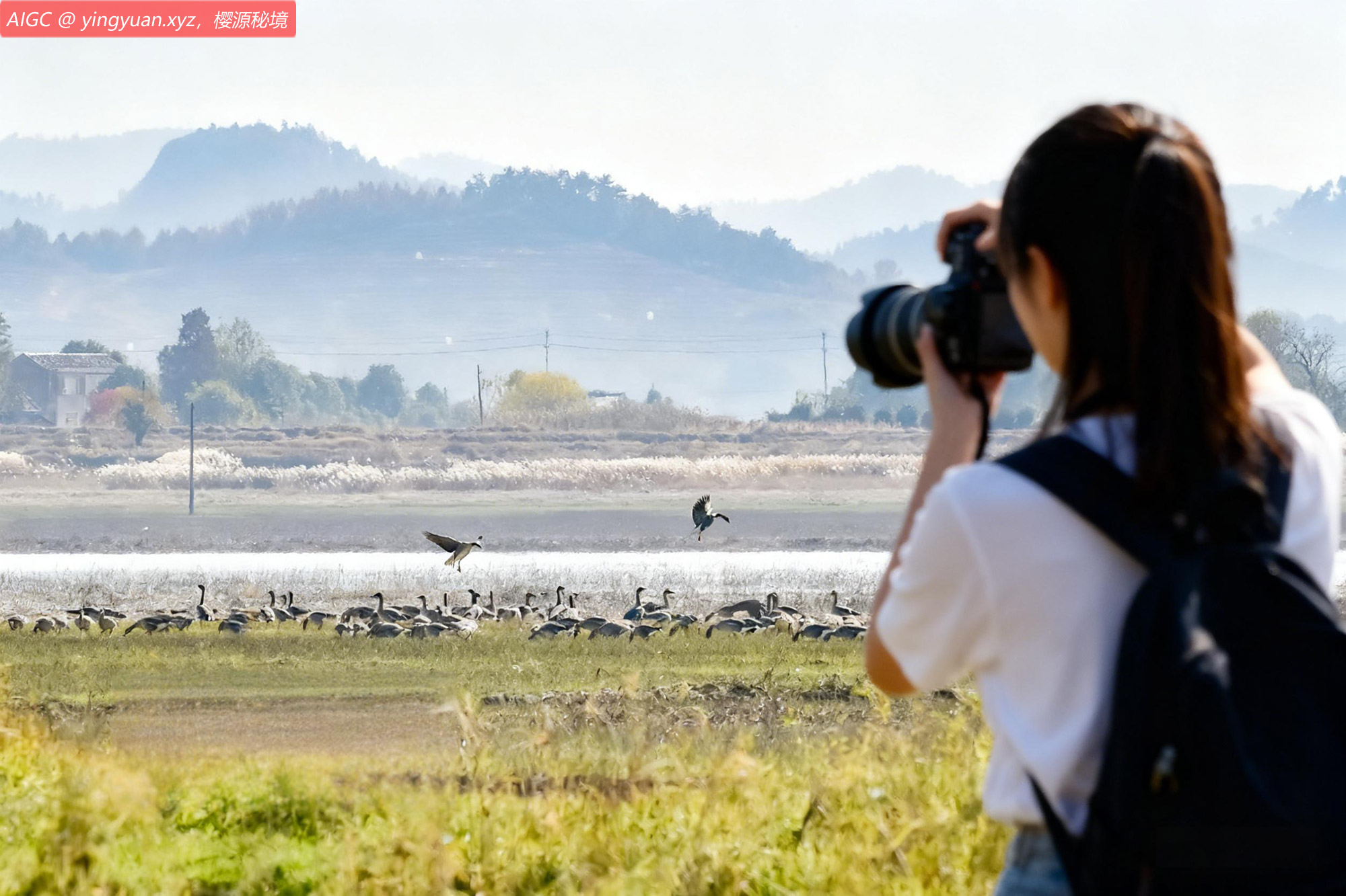 安徽省铜陵市枞阳县菜子湖畔，候鸟翔集